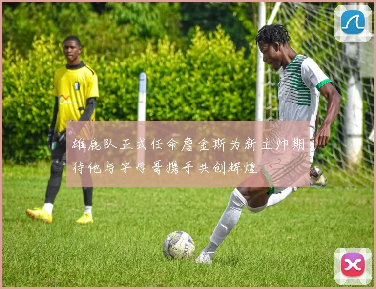 雄鹿队正式任命詹金斯为新主帅期待他与字母哥携手共创辉煌