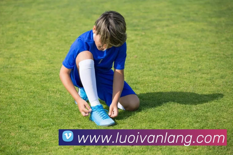 奖项证书